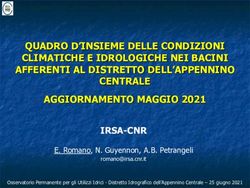 QUADRO D'INSIEME DELLE CONDIZIONI CLIMATICHE E IDROLOGICHE NEI BACINI AFFERENTI AL DISTRETTO DELL'APPENNINO CENTRALE AGGIORNAMENTO MAGGIO 2021