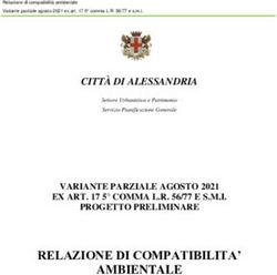 RELAZIONE DI COMPATIBILITA' AMBIENTALE - Comune di ...