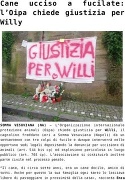 Cane ucciso a fucilate: l'Oipa chiede giustizia per Willy