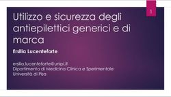 Utilizzo e sicurezza degli antiepilettici generici e di marca - Ersilia Lucenteforte