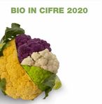 Bio in cifre 2020: crescita record dei consumi di alimenti biologici
